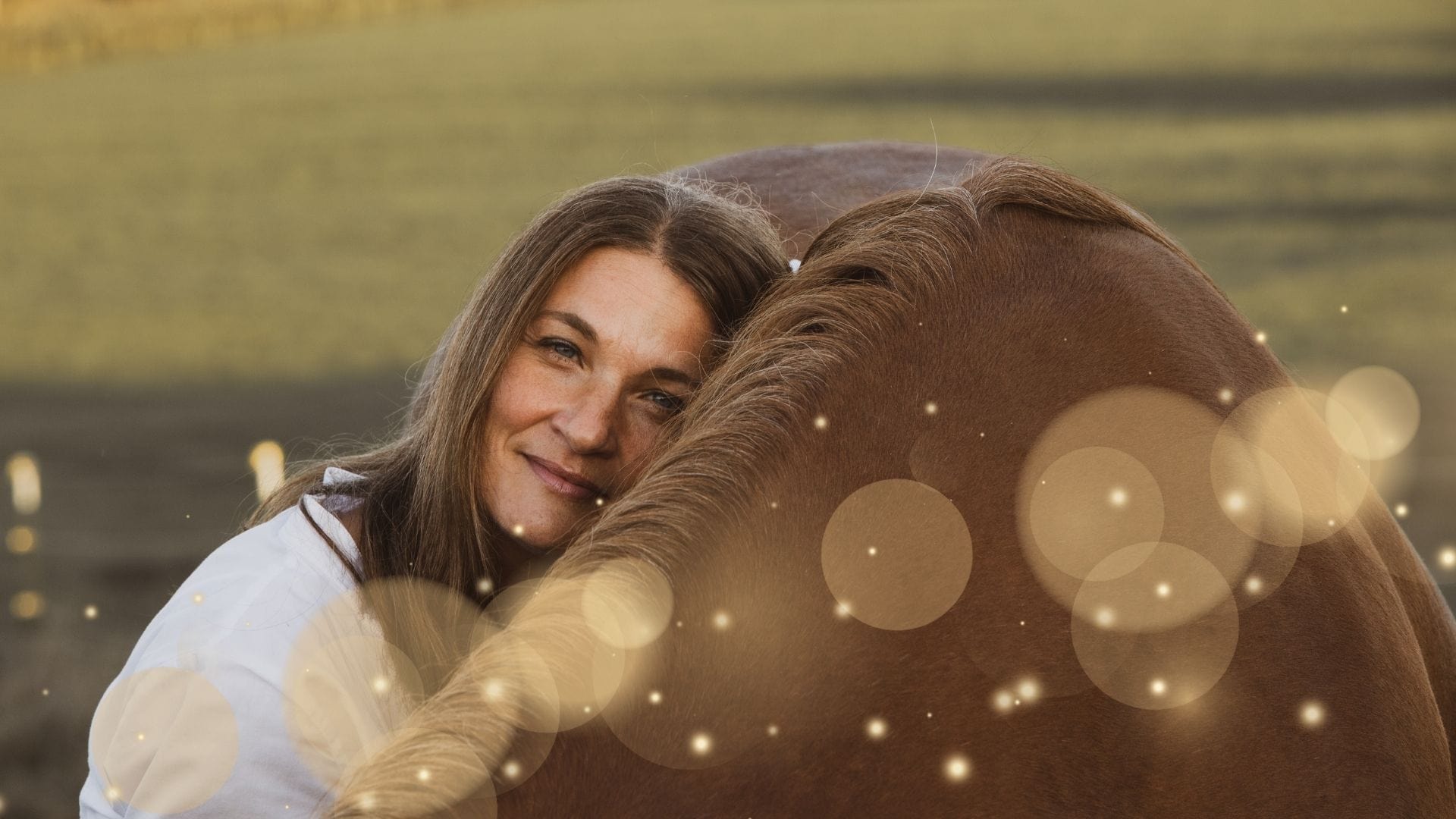 Tierkommunikation lernen