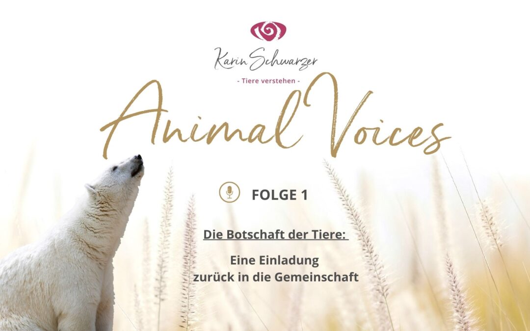 Animal Voice – Folge 1