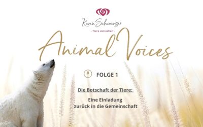 Animal Voice – Folge 1