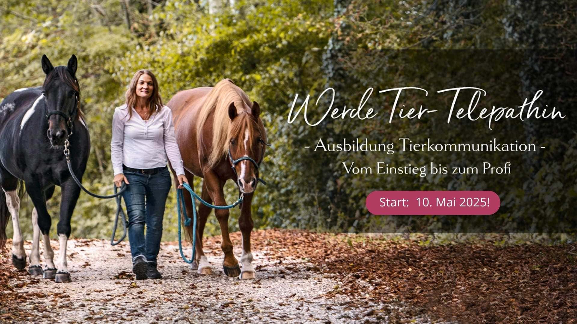 Tierkommunikation Ausbildung