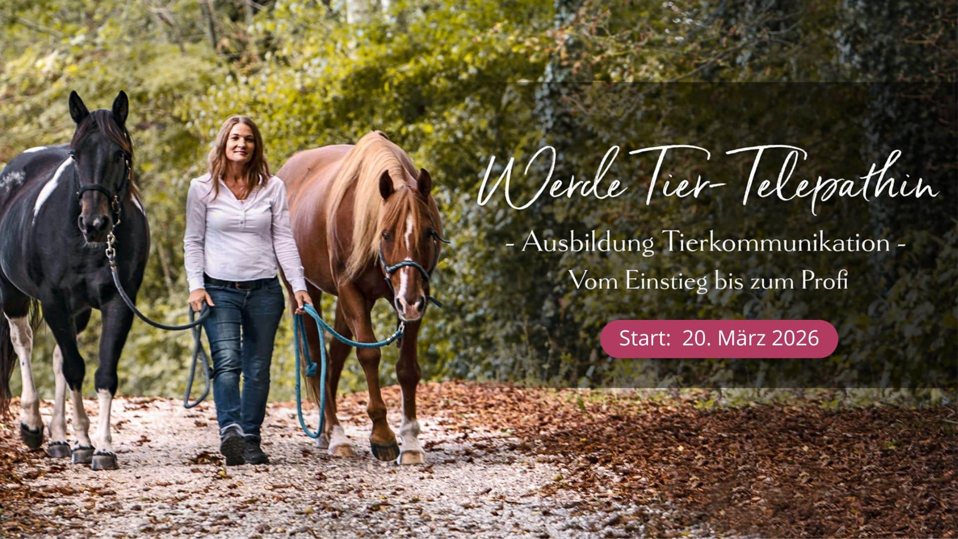 Tierkommunikation Ausbildung