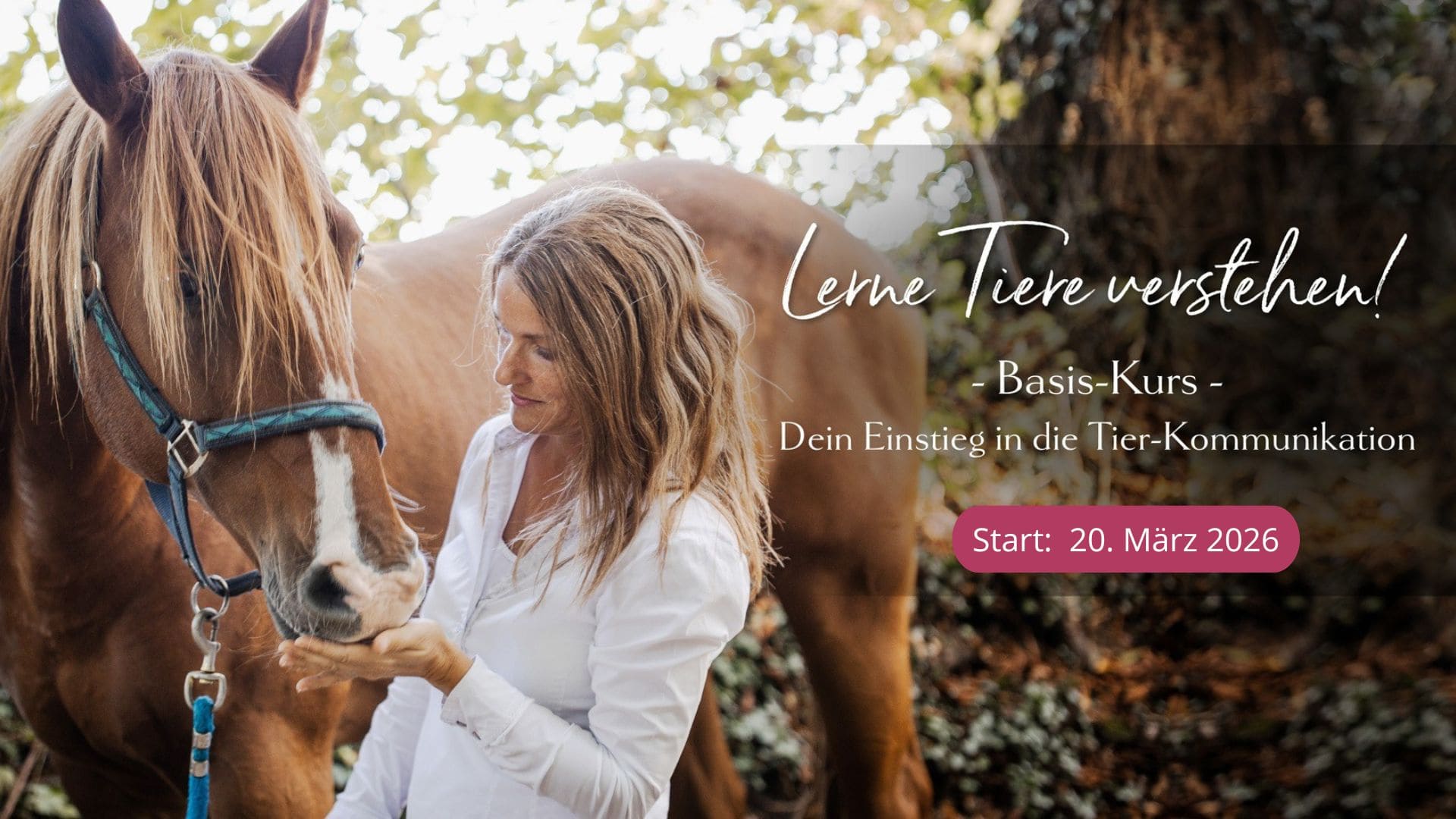 Tierkommunikation lernen, Tierkommunikation Kurse