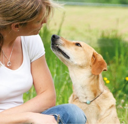Hunde verstehen