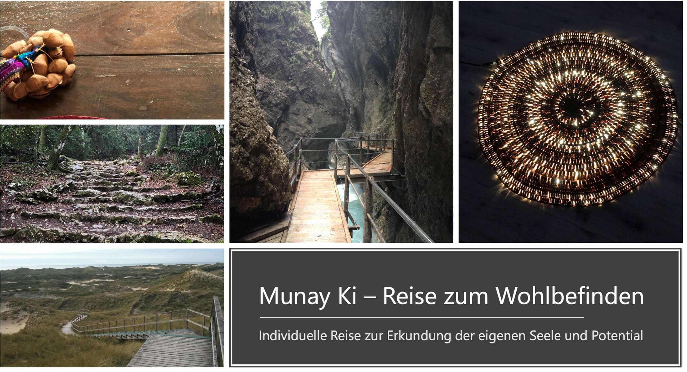 Begegne deinem Tier
