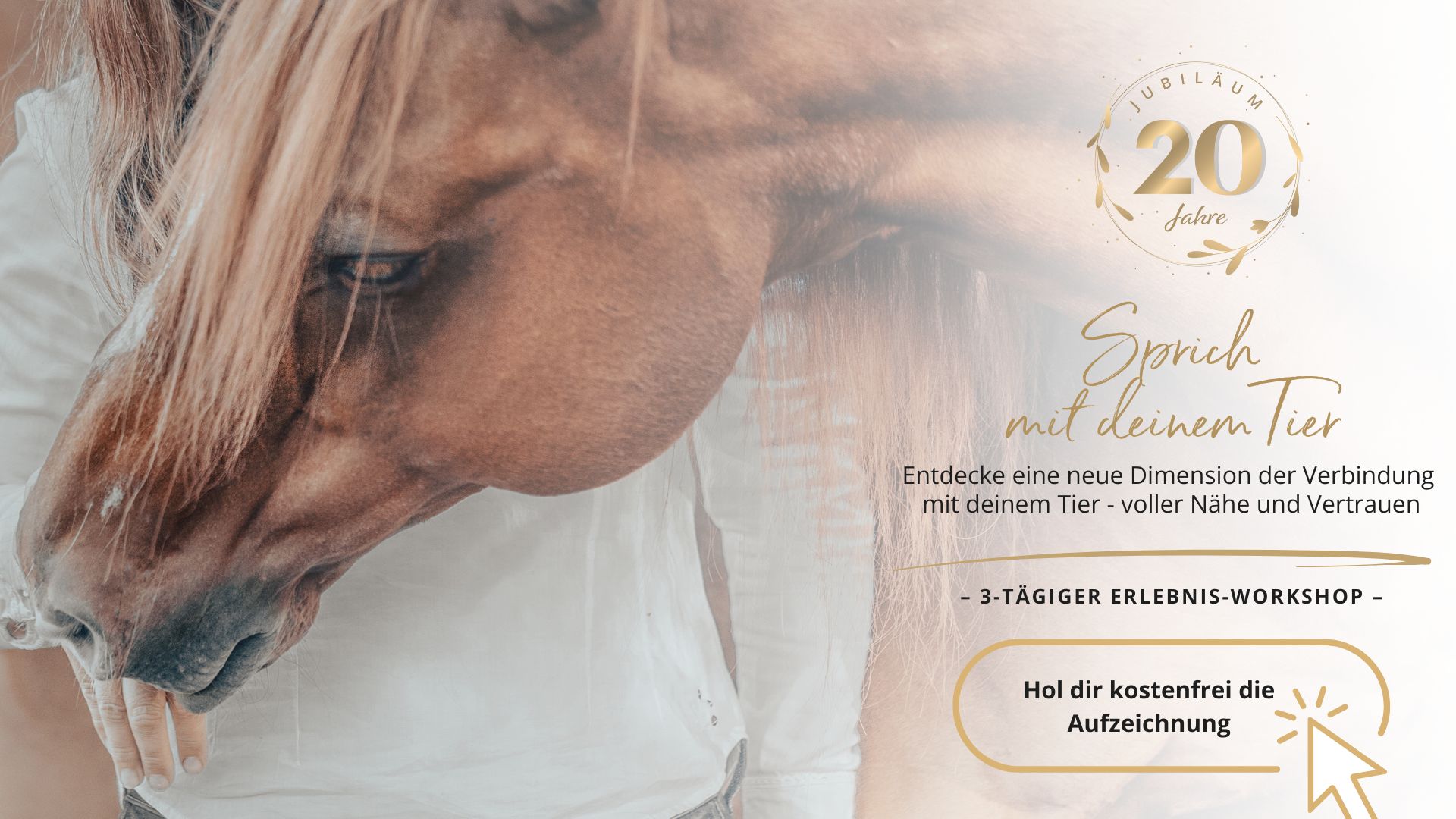 Info-Abend Tierkommunikation
