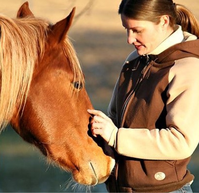 Tiergespraeche_Pferd