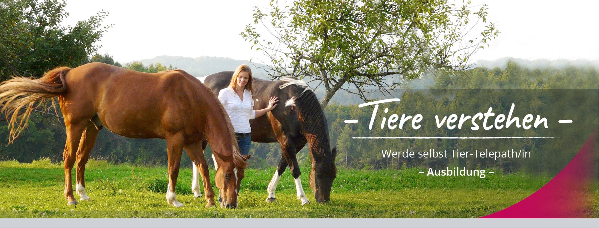 Tierkommunikation_Ausbildung