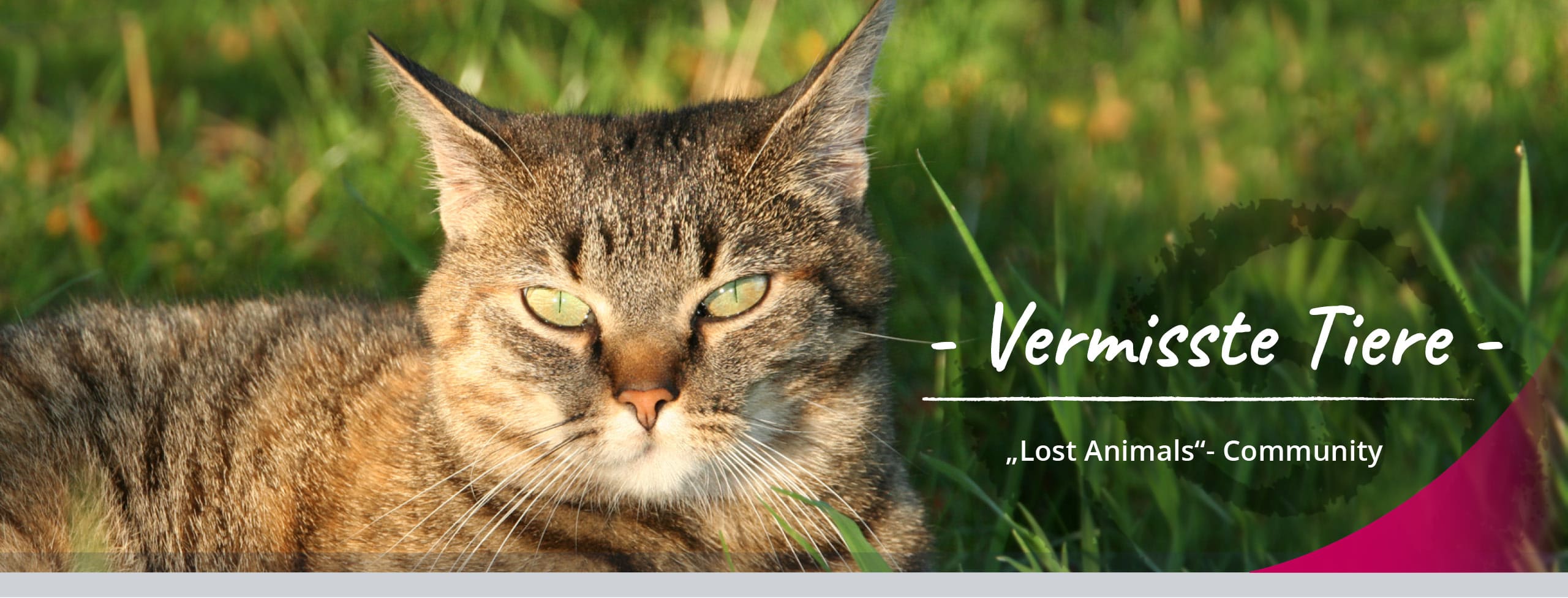 Vermisste Tiere2