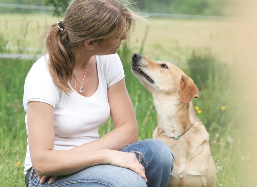 tiere-verstehen-lernen