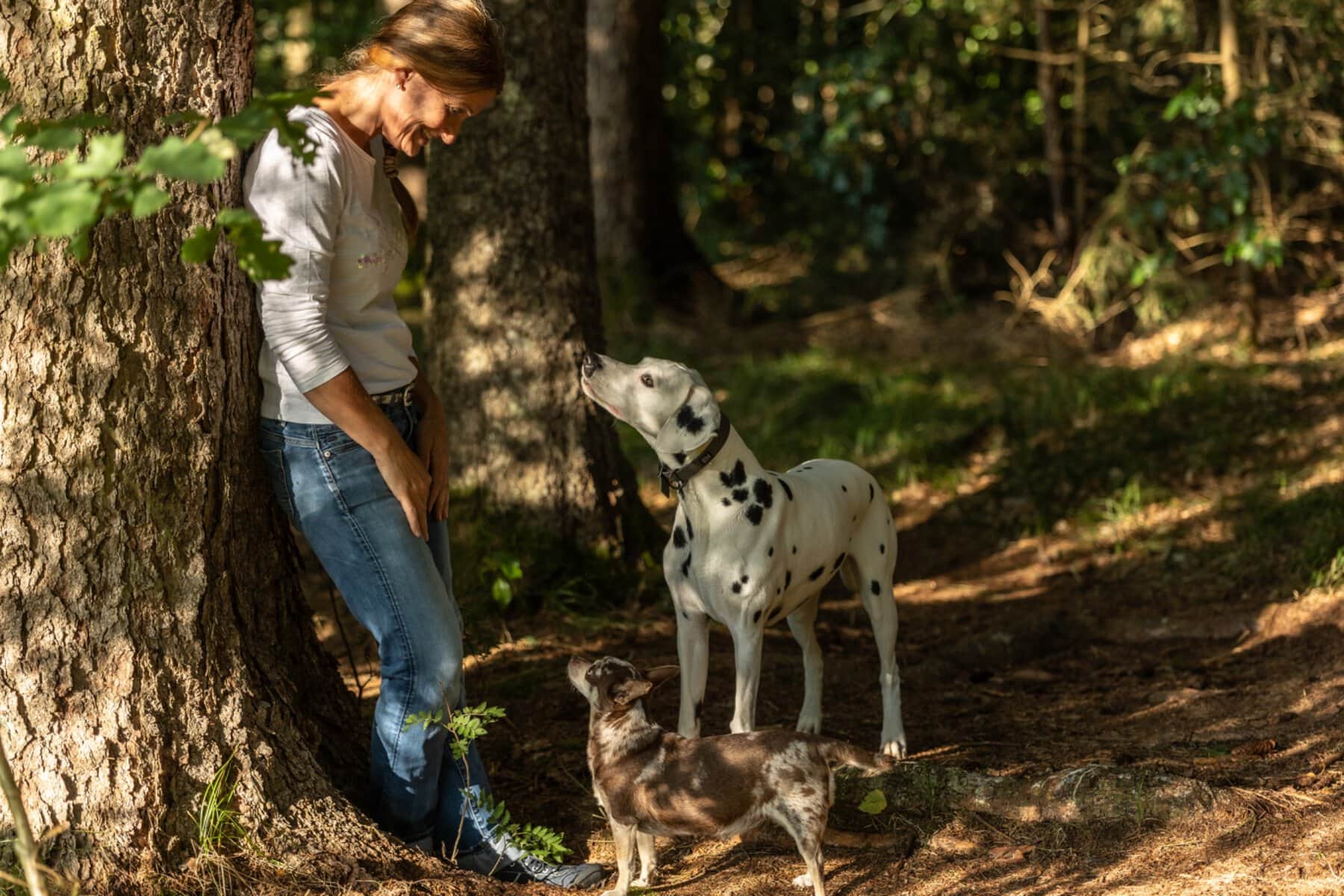 Karin im Wald, ihr Dalmatiner schaut zu ihr auf